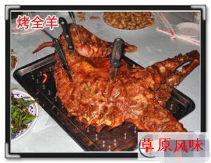 北京草原骑马最便宜的地方！