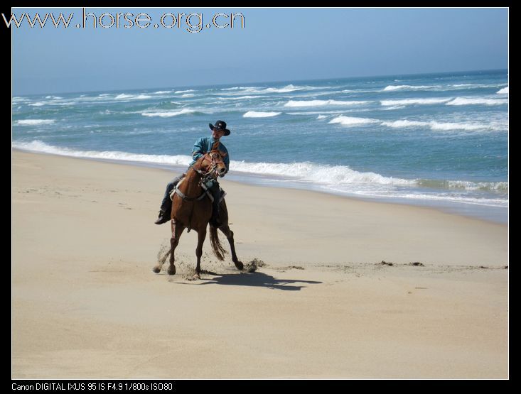 2010-5美国西部牛仔生活深入体验（完整内容）