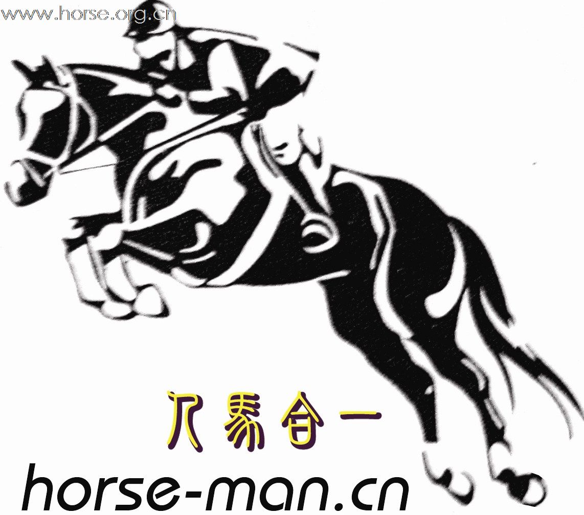 重大利好--------全国首家马具批发业务上线！