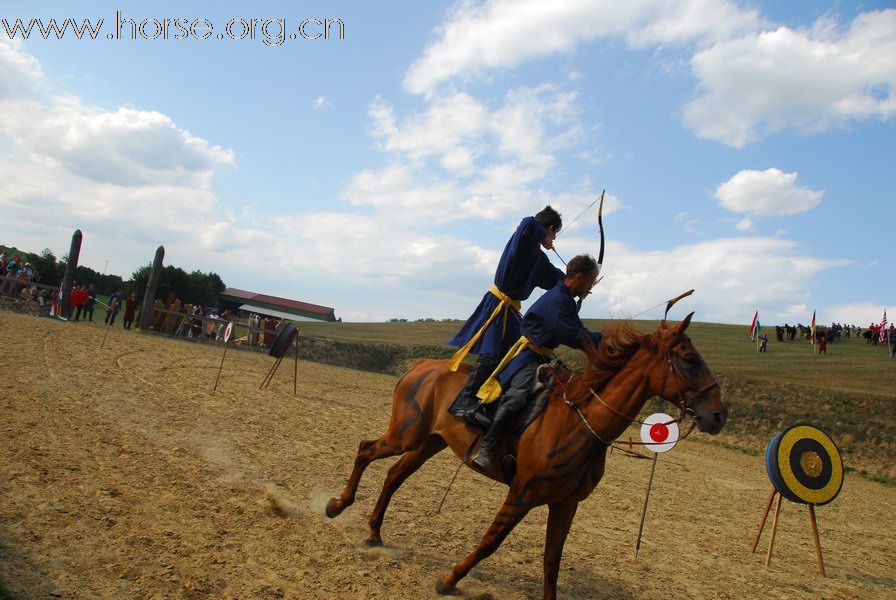 超值的匈牙利马术文化游--骑射大会、自然驯马法、驾马车