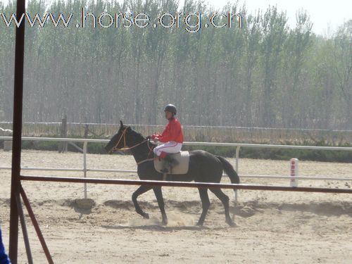 2010年5月1日大兴速度赛拾遗
