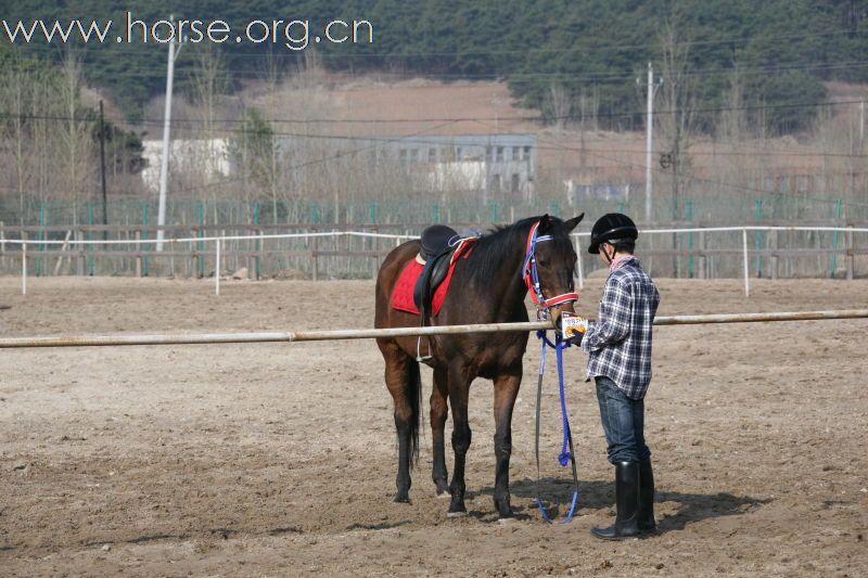 “五一，宇田马术俱乐部活动花絮”