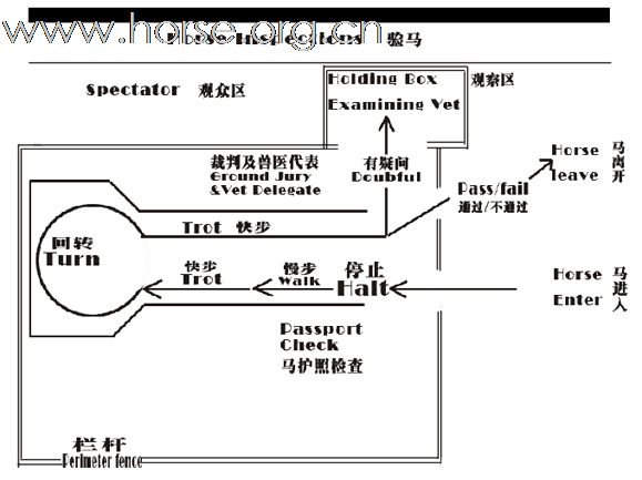 北京马友看过来，这是一场人人有机会的比赛