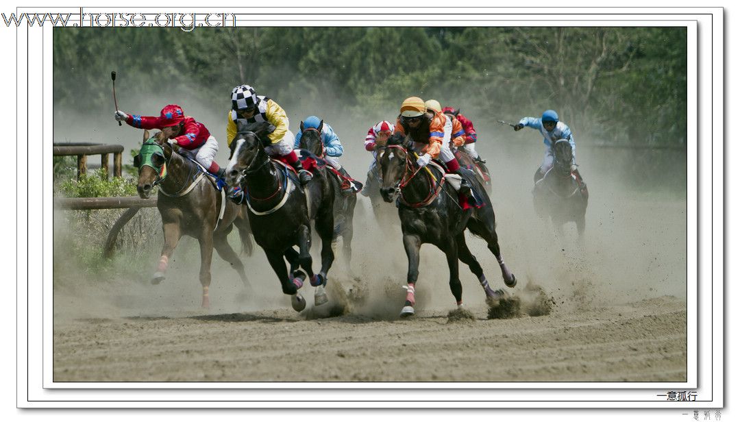 2010“金沙杯”北京速度赛马摄影大赛开赛--参赛作品