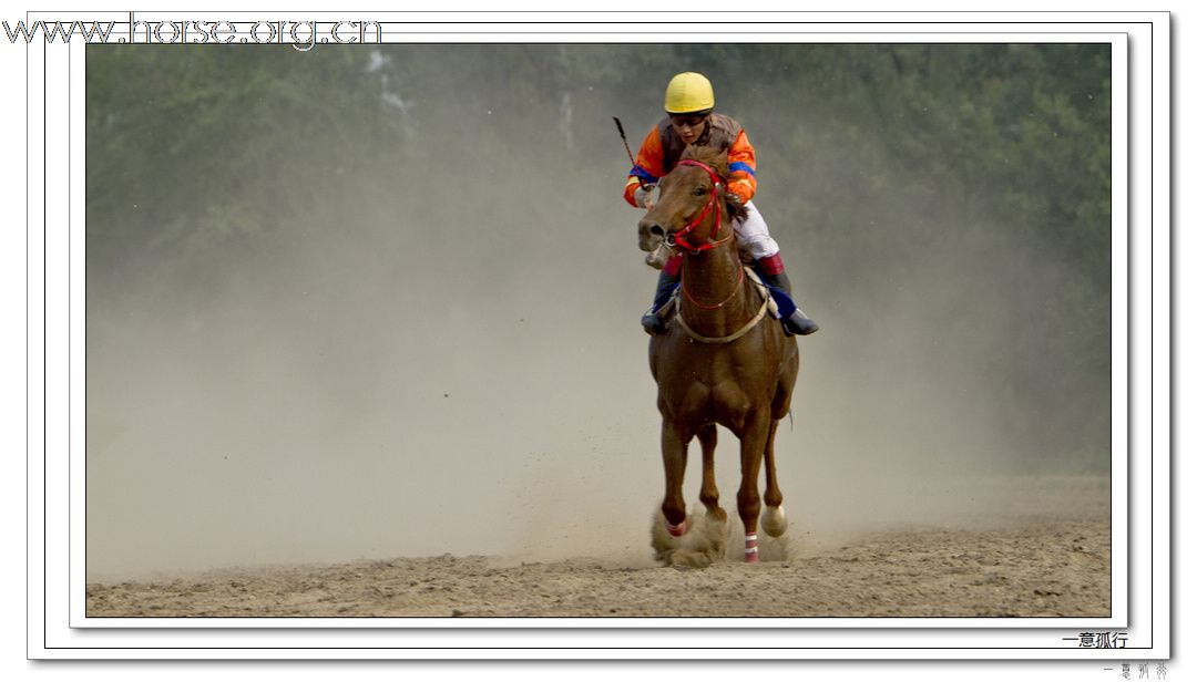 2010“金沙杯”北京速度赛马摄影大赛开赛--参赛作品