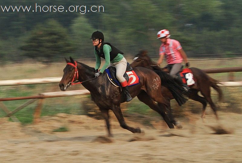 【参赛】2010“金沙杯”北京速度赛马摄影大赛开赛-