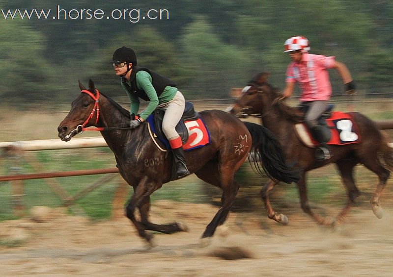 【参赛】2010“金沙杯”北京速度赛马摄影大赛开赛-