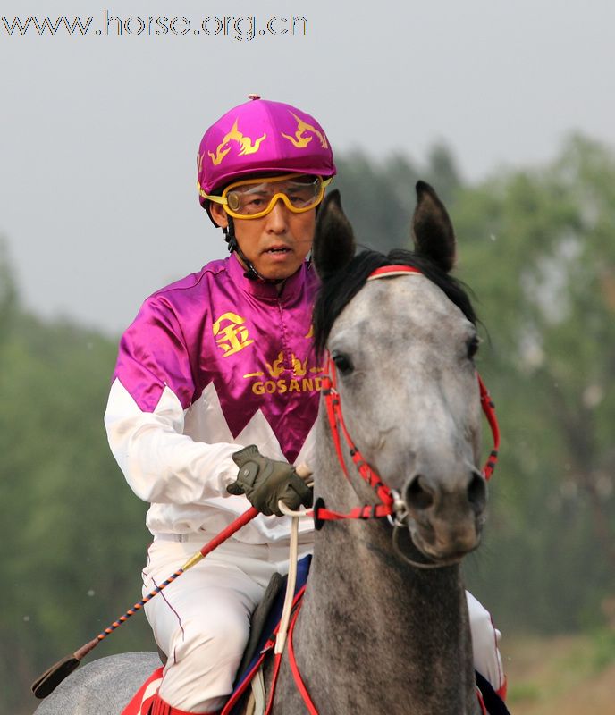 【参赛】2010“金沙杯”北京速度赛马摄影大赛开赛
