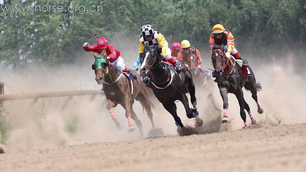 【参赛】2010“金沙杯”北京速度赛马摄影大赛开赛
