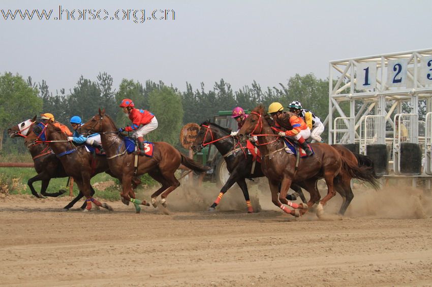 [原创]【参赛】2010“金沙杯”北京速度赛马摄影大赛开赛
