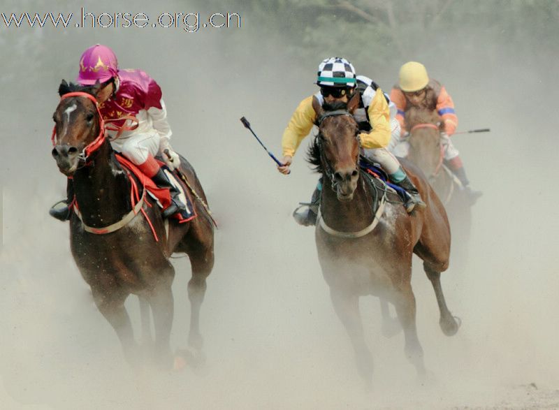 [原创]2010“金沙杯”北京速度赛马摄影大赛开赛--参赛作品