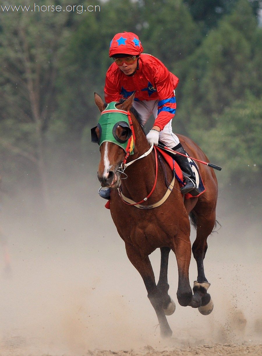 2010“金沙杯”北京速度赛马摄影大赛开赛