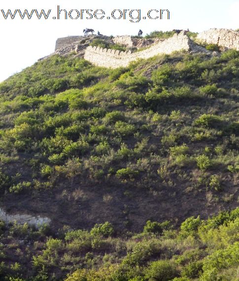 跃马明长城，金樽对明月