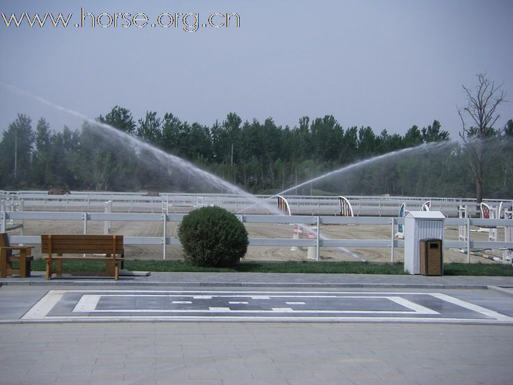 京城馬匯