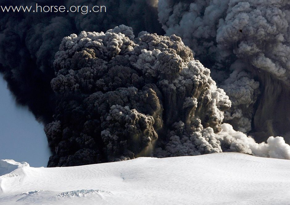 火山噴發，馬馬奔逃