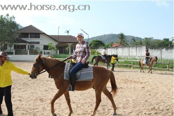 [贴图]罗兰骑士部落 野骑