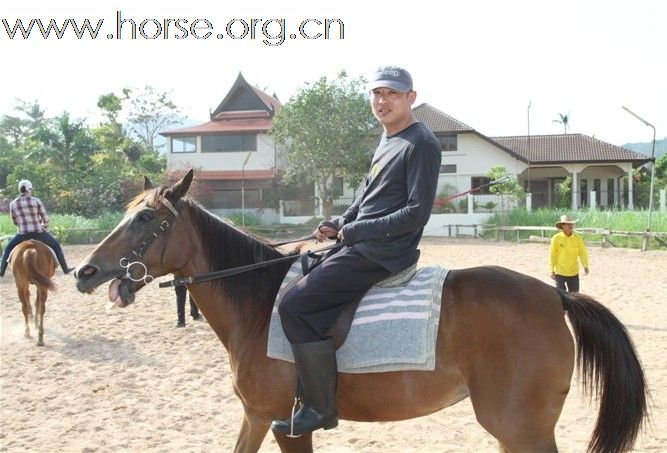 [贴图]罗兰骑士部落 野骑