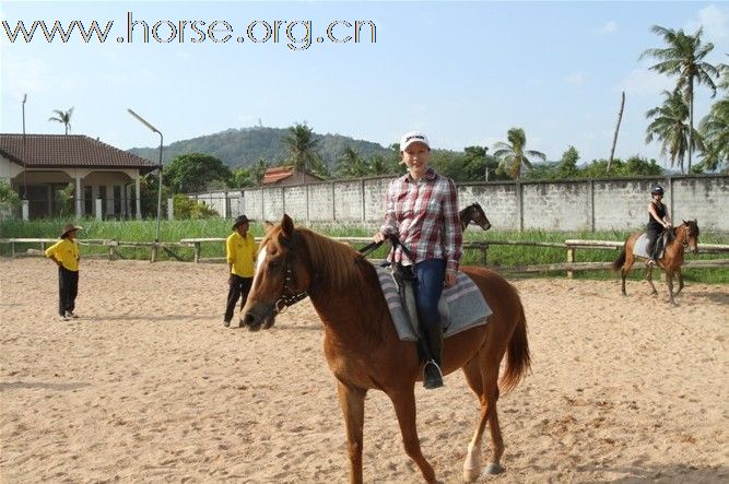 [贴图]罗兰骑士部落 野骑