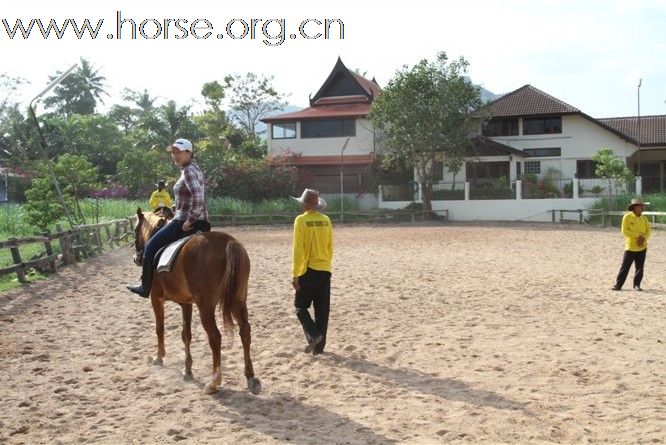 [贴图]罗兰骑士部落 野骑