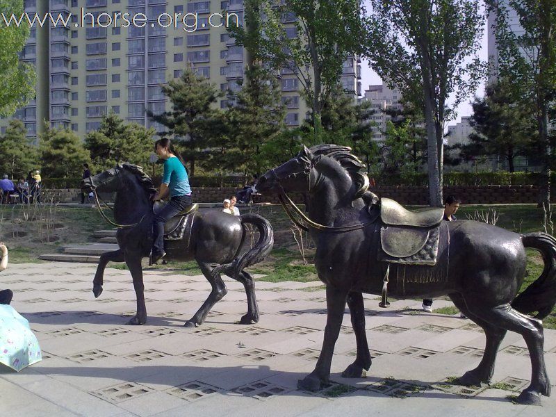 大哉乾元---春游元大都遗址公园，北京“蒙古味”最浓的地方