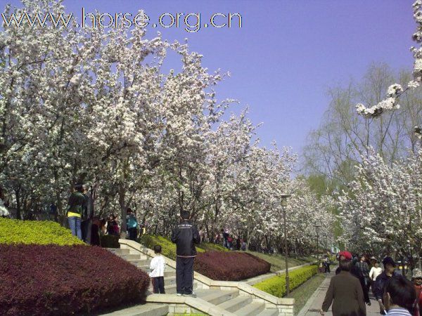 大哉乾元---春游元大都遗址公园，北京“蒙古味”最浓的地方