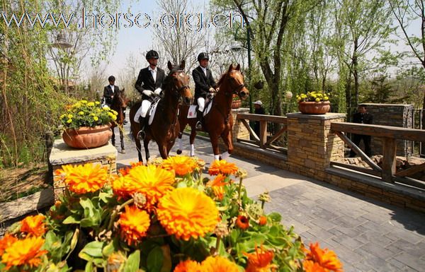 青岛德瑞、宝湖、风凰骏马迎春秀