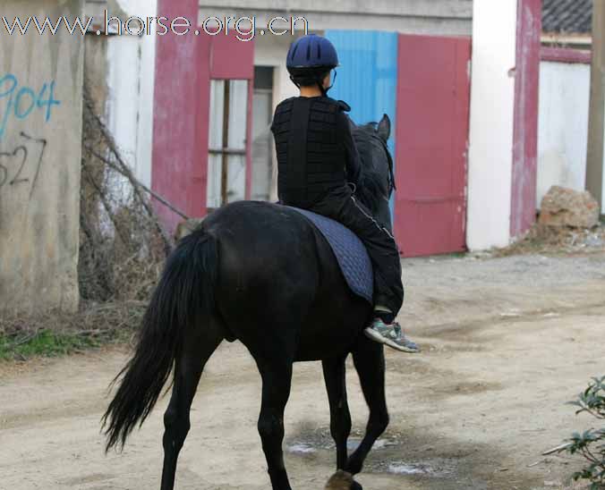 罗兰骑士部落 快乐野骑