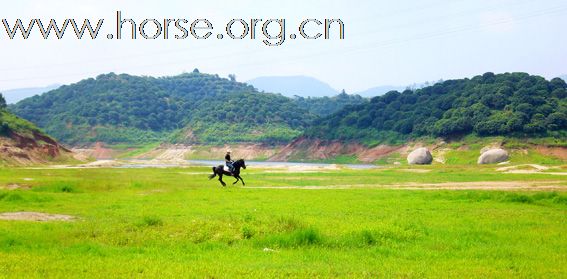 骑马踏青----休闲健身新体验