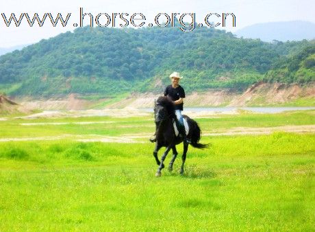 骑马踏青----休闲健身新体验