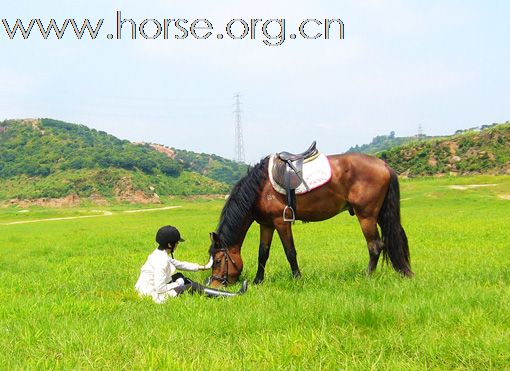 骑马踏青----休闲健身新体验