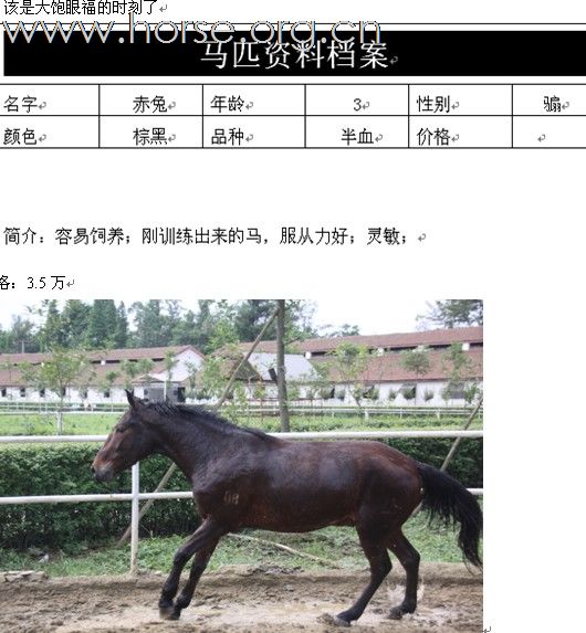 该是大饱眼福的时刻了。