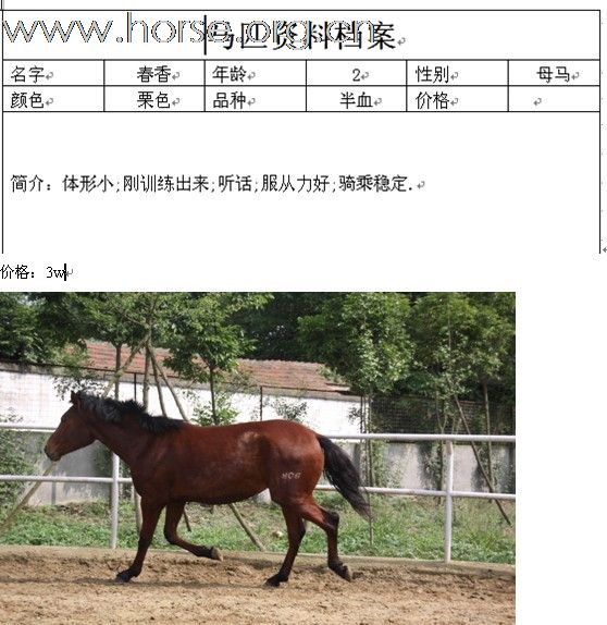 该是大饱眼福的时刻了。