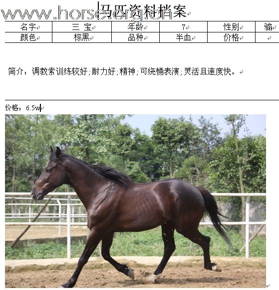 该是大饱眼福的时刻了。