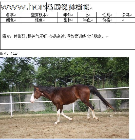该是大饱眼福的时刻了。