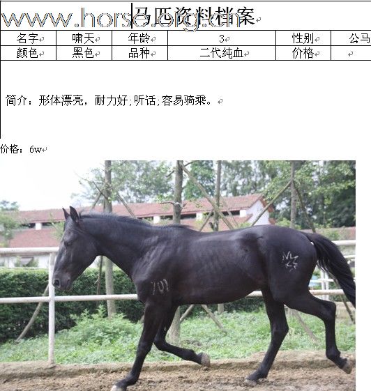 该是大饱眼福的时刻了。