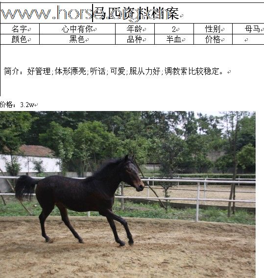 该是大饱眼福的时刻了。