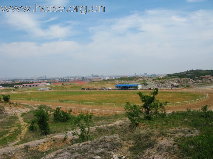 海诺杯2010年山东马友邀请赛