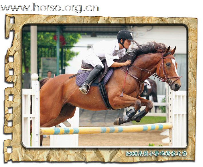 晓光手记:2010年亚运会现代五项马匹测试赛(天麓站)