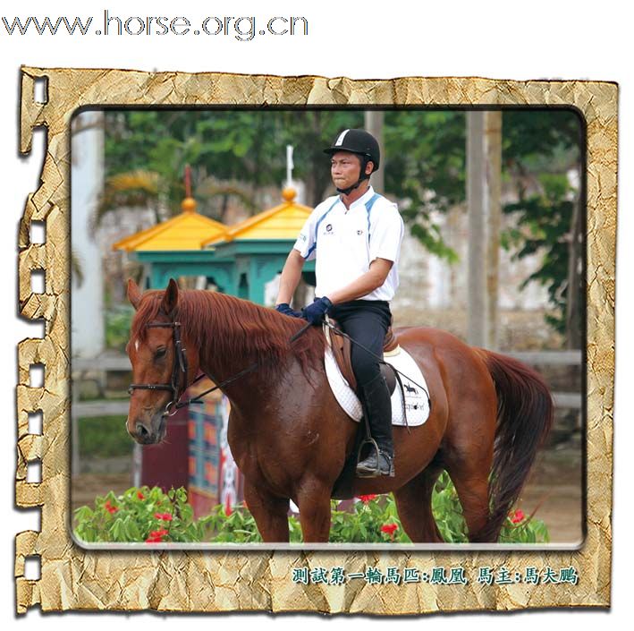 晓光手记:2010年亚运会现代五项马匹测试赛(天麓站)(一)