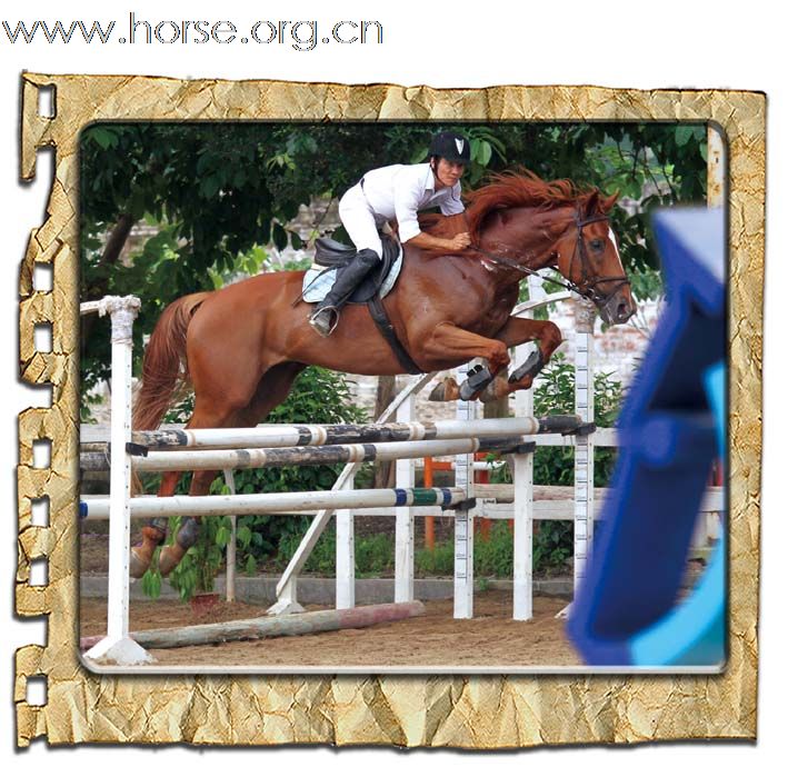 晓光手记:2010年亚运会现代五项马匹测试赛(天麓站)(二)