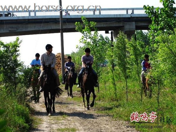 瓢城骑兵营户外活动