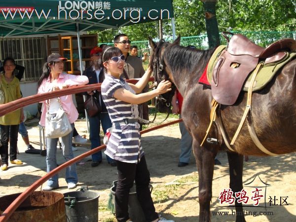 瓢城骑兵营户外活动