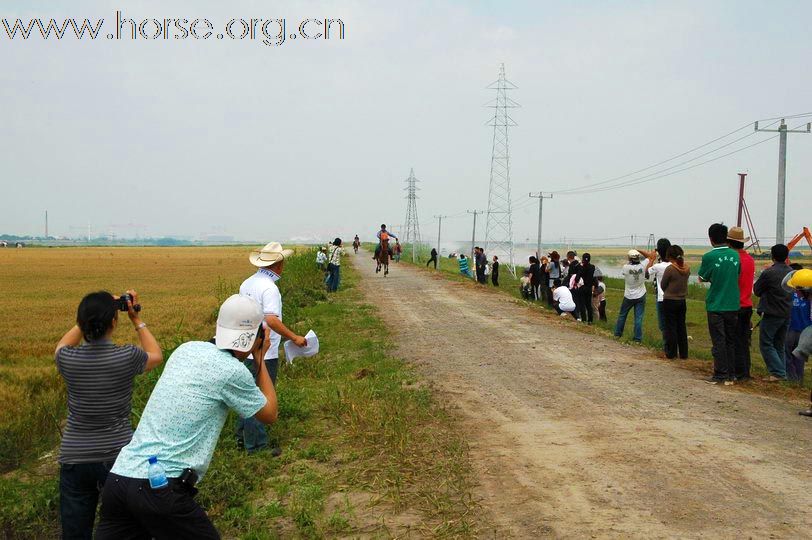 长江骑马节暨“贵豪杯”全国马术越野赛-痴迷的观众