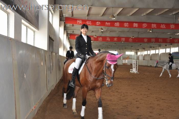 法国卢瓦尔大区主席奥克谢特先生和黑骑士学校领导再访山东马术队