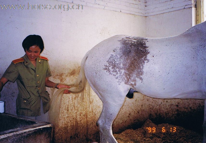 北京 1999