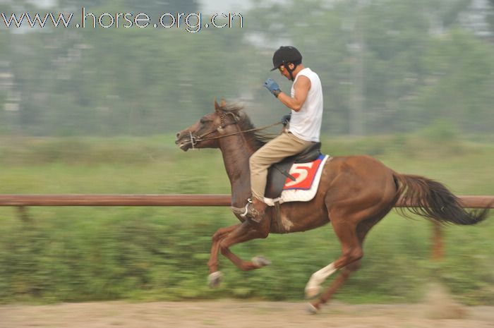 2010.06.26顺义赛马速度赛马场内场外