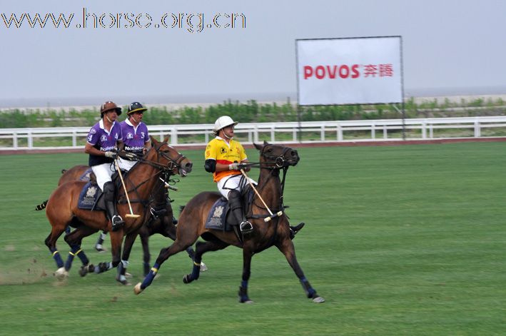 2010上海慈善马术嘉年华暨大使杯国际马球赛圆满举办