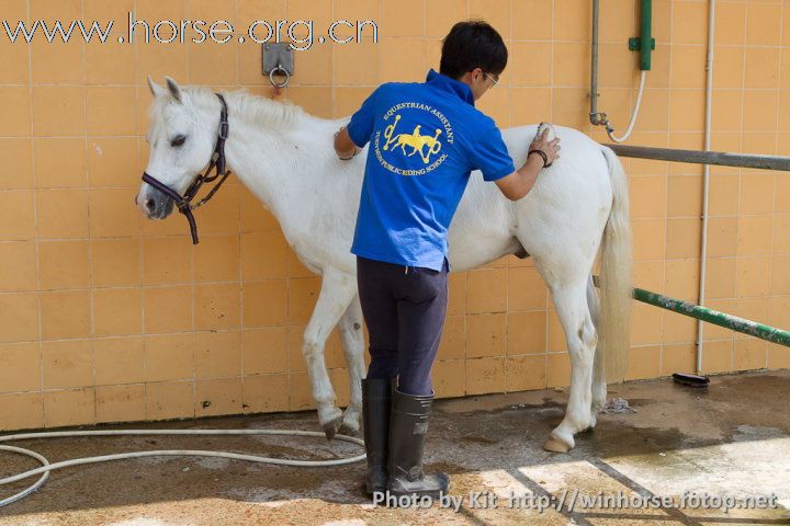 香港賽馬會屯門公眾騎術學校開放日與眾同樂(圖片補充)