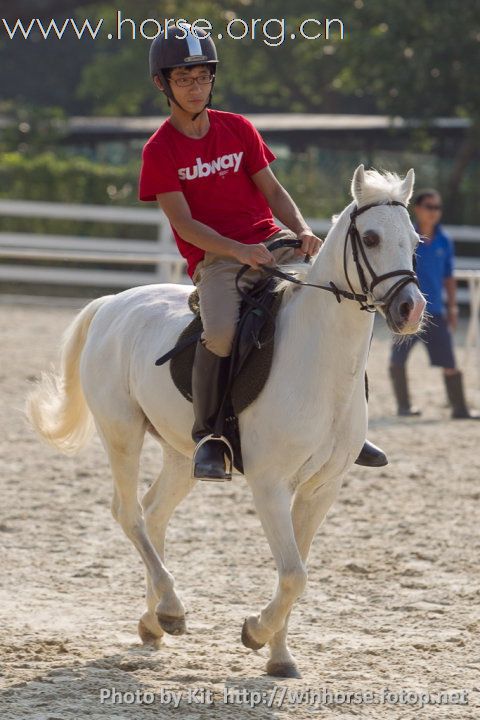 香港賽馬會屯門公眾騎術學校開放日與眾同樂(圖片補充)