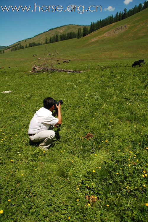 2010喀纳斯拉力赛精彩图片—花海赛道，争霸英豪